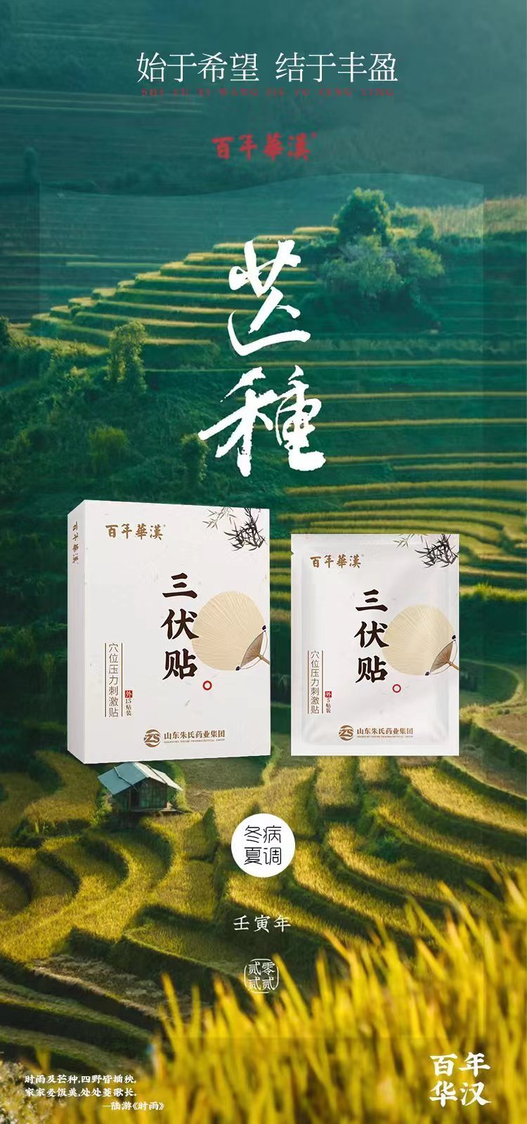 大型三伏贴生产厂家 疏通经络 冬病夏调_b1a3e879.jpg