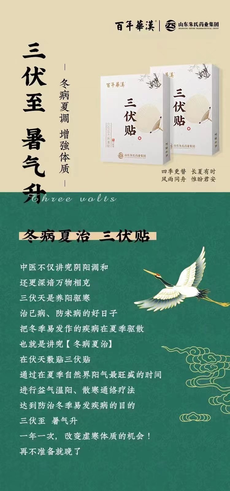 大型三伏贴生产厂家 疏通经络 冬病夏调_eaf7d9e2.jpg