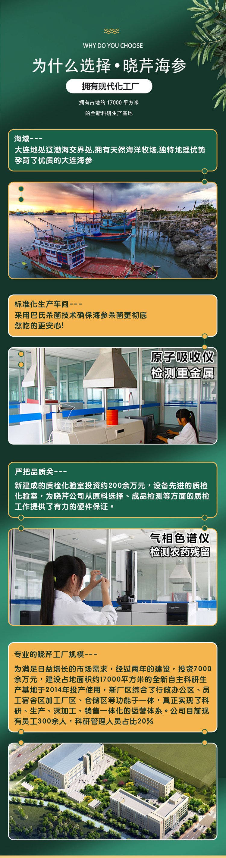 长春淡干海参 长春干海参 优质海参_86ec0f0b.jpg