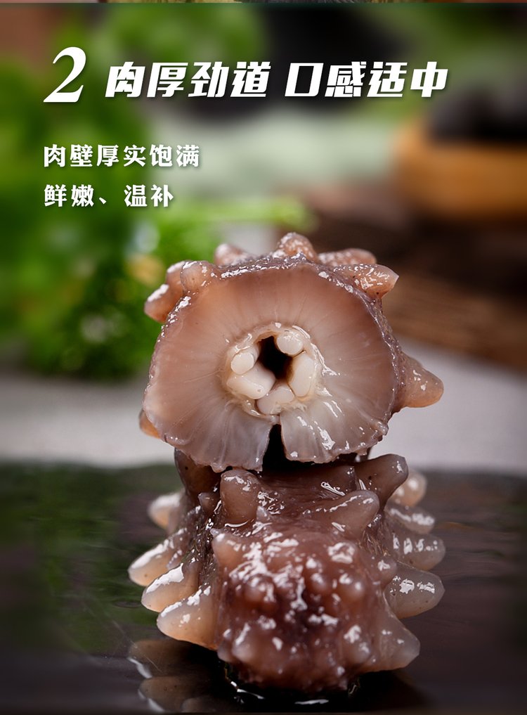 长春淡干海参 长春干海参 优质海参_874c1be4.jpg