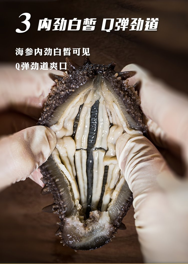 长春淡干海参 长春干海参 优质海参_e4245ec1.jpg