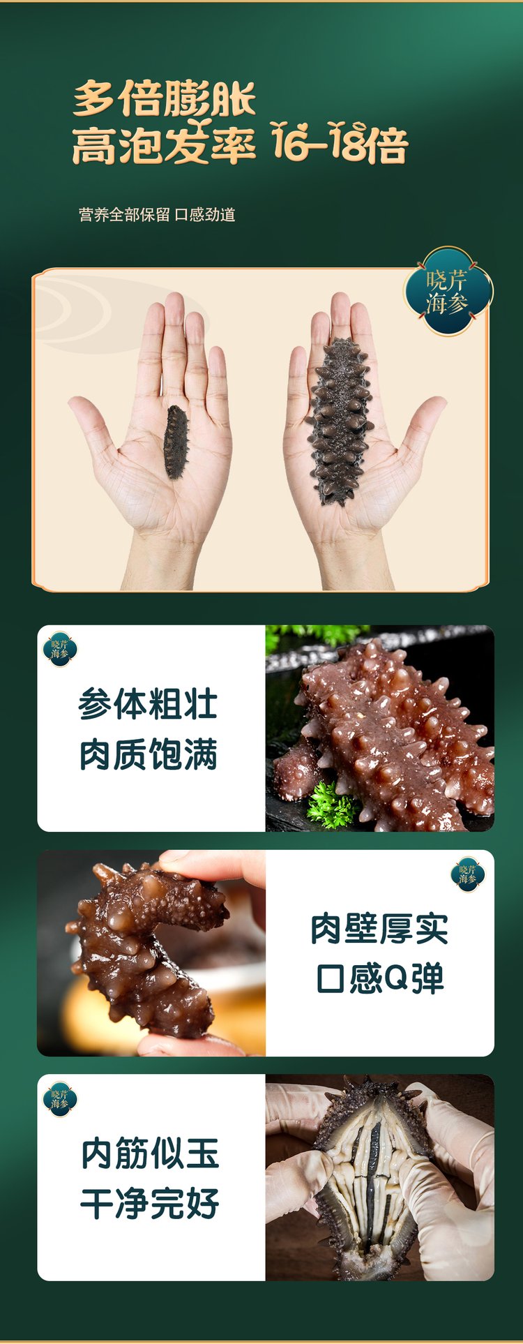 长春淡干海参 长春干海参 优质海参_1f49ba68.jpg